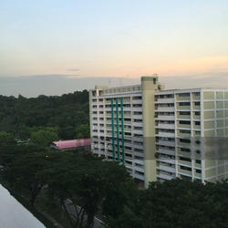 Blk 264 Bukit Batok East Avenue 4 (Bukit Batok), HDB 3 Rooms #122329242